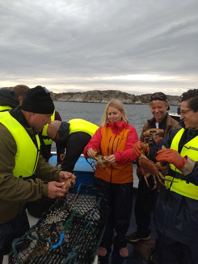 Ta med dej familjen eller dina vänner på en krabbfisketur. 